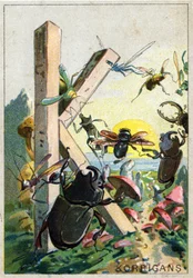 Bokstaven K som Korrigans. Herr Mariniers konstnärliga alfabet. Redigerad av Henry Sicard, sent 1800-tal. Reklamkromolitografier för produkter som säljs på apotek. Mått: 12,5 x 9 cm