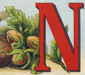 Bokstaven N: hasselnötter. Gravyr i "Alphabet de ma petite fille". Bernardin-Bechet och Fils, bokhandlare-förlag, Paris, omkring 1895. Okrossbart album på duk. Bibliotheque des Bebes. 12 sidor. Album innehållande en läsmetod och en illustrativ abec
