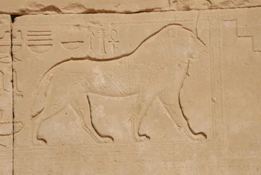 Lejonsnideri, Karnak, Luxor, Egypten (foto)