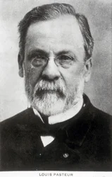 Louis Pasteur, fransk kemist och mikrobiolog, ca 1885