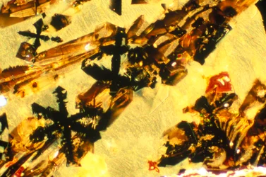 METALLER, MINERALER, JÄRN, LM Järnslagg