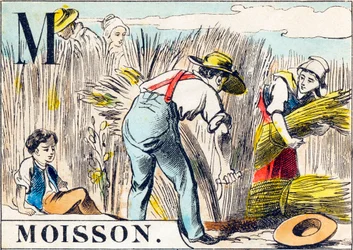 M Moisson - "gårdens alfabet" slutet av 1800-talet (gravyr)