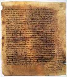 Manuskriptrulle: en palimpseste.