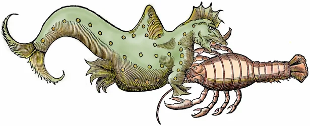 Havsdrake och jättekräftdjur, xylografi hämtad från "Paralipomena accuratissima historiae omnium animalium quae in voluminibus Aldrovandi desiderantur/Bartholomaeus Ambrosinus... summo labore collegit; Marcus Antonius Berna bibliopola bononiensis p