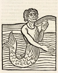 Merman