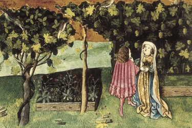 Miniatyr på vindruvor, frukt som minskar bukfett och bantar - IBN BUTLAN, Abu-l Hasan al-Mujtar (ca 1001 - 1066). Nestoriansk kristen läkare och filosof från Bagdad. Folio 83r. Illustration om vindruvor, en frukt som minskar bukfetma och li