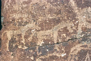 Mongoliet, Gobiöknen, stenstick
