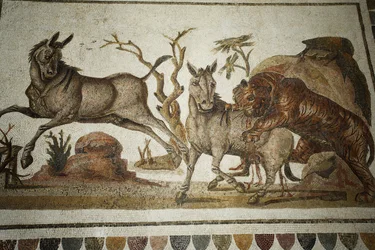Mosaik av djurstrider: tiger som attackerar två natt-primagrar. II s AD/Musee d