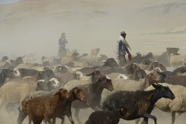 Nomadtält mellan Tamar och Ashkhaneh, Iran 2022 (fotografi)