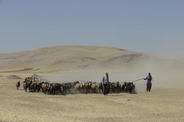 Nomadtält mellan Tamar och Ashkhaneh, Iran 2022 (fotografi)