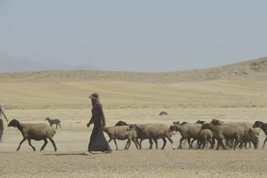 Nomadtält mellan Tamar och Ashkhaneh, Iran 2022 (fotografi)