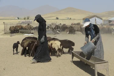 Nomadtält mellan Tamar och Ashkhaneh, Iran 2022 (fotografi)