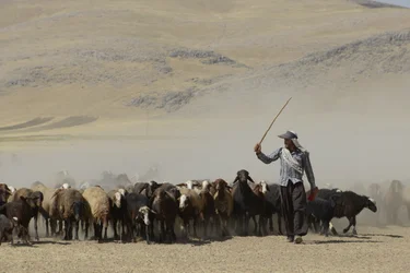 Nomadtält mellan Tamar och Ashkhaneh, Iran 2022 (fotografi)