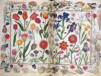 Sidor från albumet Amicorum av Philipp Hainhofer, 1596-1633