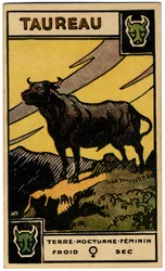 Paranormalt. Astrologi. Oxen (tjuren). Astrologiskt kort från: Le Tarot Astrologique (Astrologisk Tarot), av Georges Muchery, Frankrike