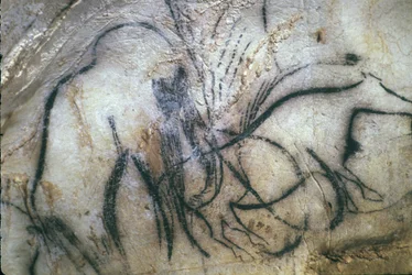 Pech Merles förhistoriska grotta/Mammuternas kapell/25 000 år/Cabrerets/Lot/Midi Pyrenéerna/Frankrike
