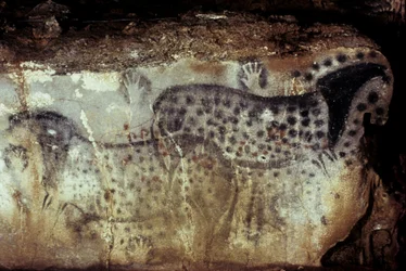 Förhistorisk grotta av Pech Merle/Spot hästar och negativa händer/25 000 år/Cabrerets/Lot/Midi Pyrenéerna/Frankrike