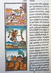 Bearbetning av fjädrar, text på Nahuati, från faksimil av manuskriptet General History of Things of New Spain, även känd som Florentine Codex, av Bernardino de Sahagun