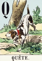 Q : Quete - AThe Hunting Alphabet, c.1890 (gravyr)