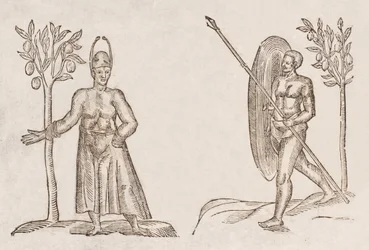 Rex Sinus Antongil & Miles Sinus Antongil