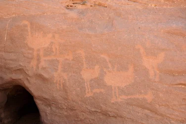 Stenkonst, Prehistoire: Gravering av en grupp strutsar, av vilka några är blockerade (fångade med en hindersten) och två karaktärer i Uweinat-massivet, Sudan. Period från 8000 till 3000 år f.Kr. Fotografi
