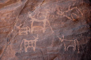 Bergkonst, Prehistoire: Gravyr av en uppsättning nötkreatur, varav en är nedre till vänster, i Uweinat-massivet, Egypten. (Period från 8000 till 3000 år f.Kr.). Fotografi