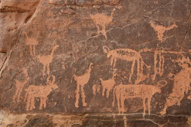 Stenkonst, förhistoria: Detalj av en gravyr av en uppsättning strutsar och boskap i Uweinat-massivet, Egypten (perioden från 8000 till 3000 år f.Kr.). Fotografi