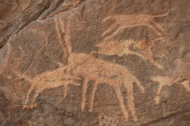 Stenkonst, förhistoria: Gravyr av en antilop attackerad av en flock hundar i Uweinat-massivet, Egypten (perioden från 8000 till 3000 år f.Kr.). Fotografi