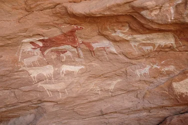 Stenkonst, förhistoria: Målning av en uppsättning nötkreatur i ett utsmyckat skydd, i Uweinat-massivet, Sudan (Karkur-Talh eller Karkur Talh). Period från 8000 till 3000 år f.Kr. Fotografi