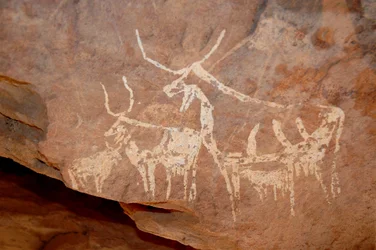 Stenkonst, förhistoria: Stenmålning av boskap med stora horn i ett skydd utsmyckat i Uweinat-massivet, Sudan (Karkur-Talh eller Karkur Talh). Period från 8000 till 3000 år f.Kr. Fotografi