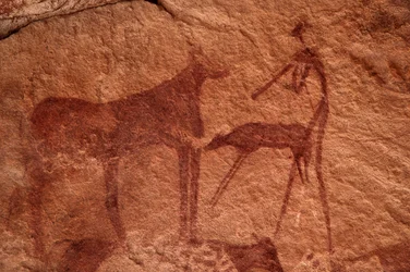 Hällkonst, förhistorisk: Stenmålning av en ko, kalv och karaktär (bågskytt) i ett utsmyckat skydd, i Uweinat-massivet, Egypten. (Period från 8000 till 3000 år f.Kr.). Fotografi