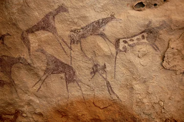 Stenkonst, förhistoria: Stenmålning av en grupp nötkreatur och polykroma karaktärer i ett utsmyckat skydd, i Uweinat-massivet, Sudan. Period från 8000 till 3000 år f.Kr. Fotografi