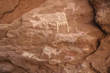 Hällkonst, förhistoria: Stenmålning av en grupp nötkreatur i ett utsmyckat skydd, i Uweinat-massivet, Sudan (Karkur-Talh eller Karkur Talh). Period från 8000 till 3000 år f.Kr. Fotografi