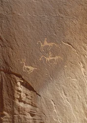 Bergstick, Ledge Ruin, Canyon de Chelly National Monument, Arizona, USA
