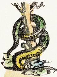 S - Serpent - Child Entertainment Alphabet c.1890 (litografi)