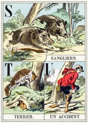 S T U : Sanglier, Terrier, Un accident - The Hunting Alphabet, c.1890 (gravyr)