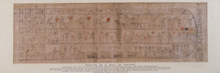 Sektion av papyrus inskriven med kursiva hieroglyfer med texten i det elfte avsnittet av Amtuats bok som beskriver solgudens födelse på himlen vid gryningen, hittad i sockeln på en Ptah-Sokar-Osiris-figur i trä (se 83305), egyptisk,