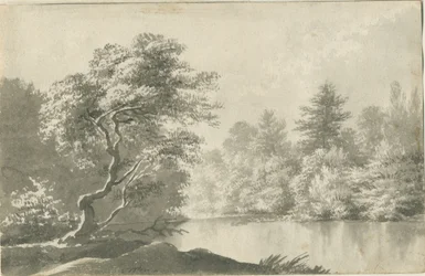 Shenstone - Pool nära Little Aston: sepiatvättteckning, nd [1800-talet]