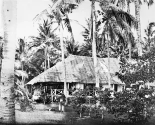 Singapore: En privat bungalow omgiven av palmer. Singapore, c1875
