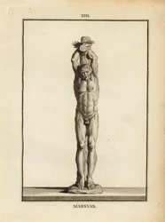Staty av satyren Marsyas som tar emot Apollos straff, levande flådd