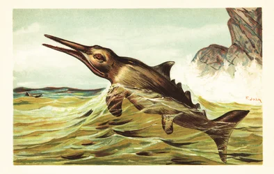 Stenopterygius quadriscissus, utdöd ichthyosaur.1908 (litografi)
