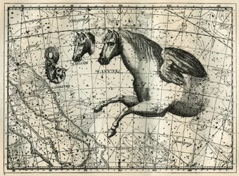 Stjärnbilden Pegase, ritar som anterieure halvan av en häst med ett par vingar, den lilla hästen, ett hästhuvud och delfinen. Gravyr från "Les étoiles et les autres curiosites du ciel" av Camille Flammarion