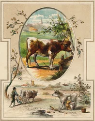 Kon. Gravyr i "Mon premier Grand Alphabet". Bernardin-Bechet Edition, Paris, ca 1890. Illustrationer av A. des Lilleuls. Ingen sida, 46 sidor. Mått: 31x22 cm.