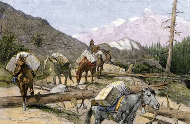 Transport av förnödenheter och pälsar på hästryggen i Klippiga bergen, USA. Från en illustration av Frederic Remington. Packvagn som transporterar förnödenheter eller pälsar över Klippiga bergen