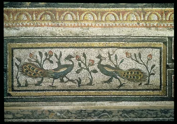 Två påfåglar, detalj av en dekorativ bård från ett mosaikgolv som avbildar årstiderna och jaktscener, från den konstantinska villan i Daphne, romersk, ca 325-330 e.Kr. (mosaik av marmor, kalksten och glas) (detalj av 105665)