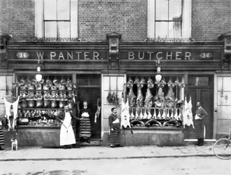 Storbritannien: Panter