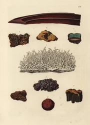 Olika sorters järnmalm. Handkolorerat kopparstick av efter en illustration av från Georg Wolfgang Knorr