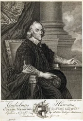 William Harvey, engelsk läkare