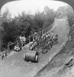 Ett kvinnligt arbetslag på Darjeeling-motorvägen, Indien, 1903.