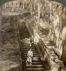 Ancient stone stairway up the hill to the tomb of Shogun Ieyasu, Nikko, Japan, 1904.